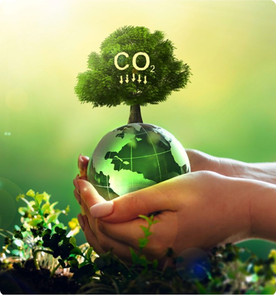 Hands holding a globe with a small tree and carbon dioxide symbols, representing sustainability.