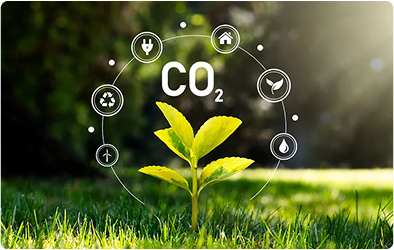CO2 and a plant growing